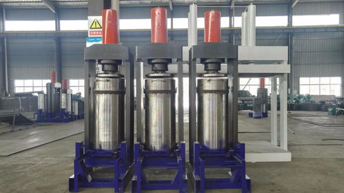 民豐ayy 280 500a 大豆榨油機(jī)自動(dòng)出餅 大型商業(yè)榨油機(jī)廠家銷售 一年保修終身維護(hù) 食品飲料欄目