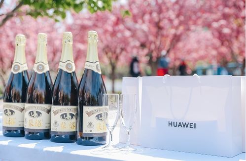 煙臺城市微度假 醉美海岸 騎遇四季 活動啟動 發(fā)布五條精品騎行線路